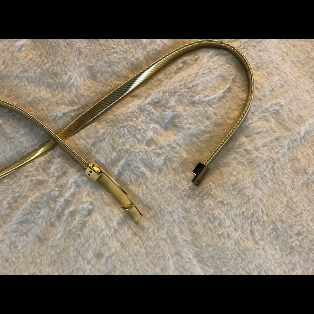 Belt - Picture 2 of 4